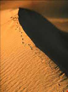 کویر قوم تپه