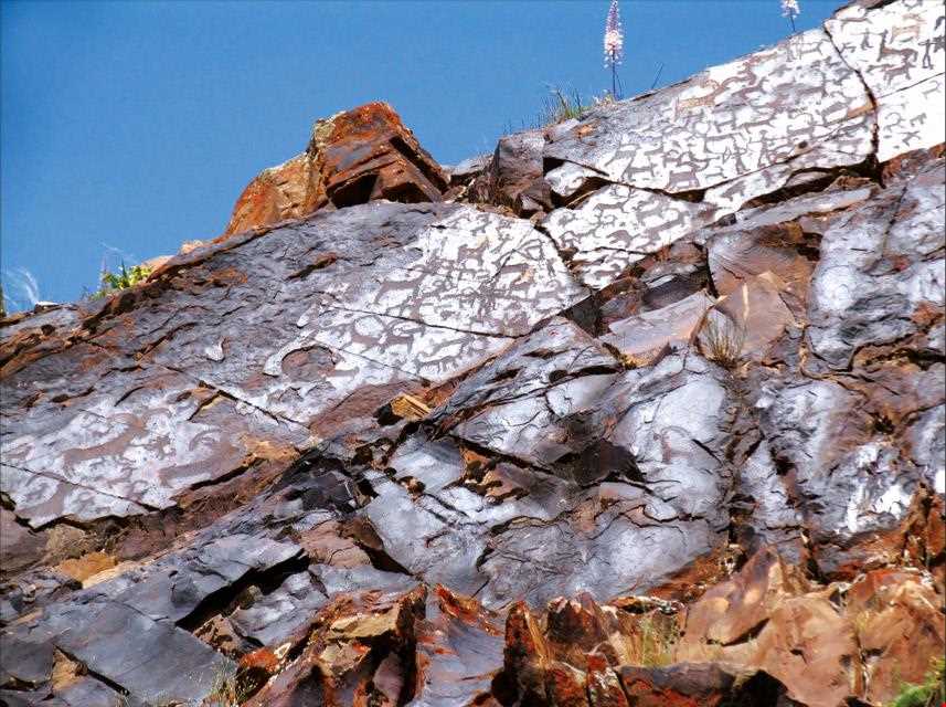 سنگ نگاره شتر سنگ