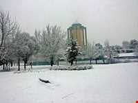 آرامگاه بابا طاهر