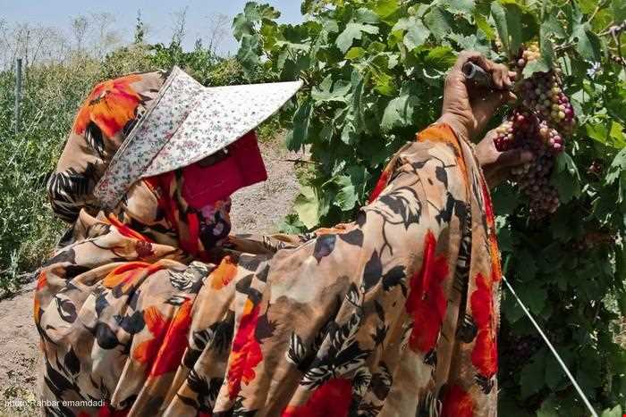 لباسهای محلی هرمزگان