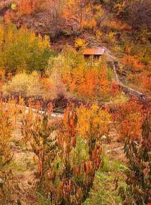 روستای آهار