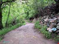 روستای آهار