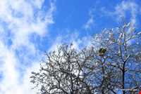 روستای آهار