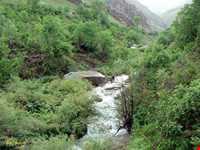 روستای آهار