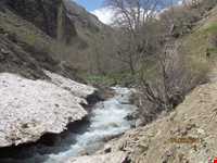 روستای آهار