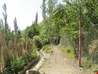 روستای آهار