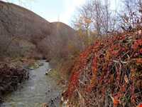 روستای آهار