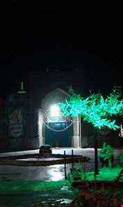 امامزاده یحیی ( ع )