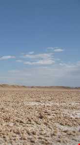 کویر دو شاخ