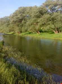 Zrynhrvd River