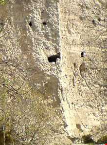 روستای چراغیل