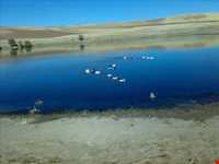 روستای بزوجیق