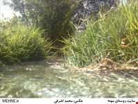 روستای مهنه