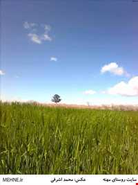 روستای مهنه