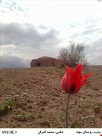 روستای مهنه
