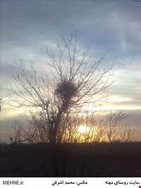 روستای مهنه