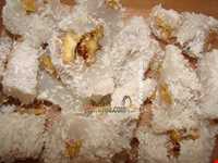 سجوق و باسلوق مراغه