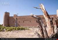 رباط فخر داوود