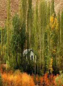 روستای شهرستانک