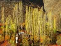 روستای شهرستانک