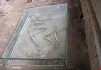 محوطه باستانی شادیاخ