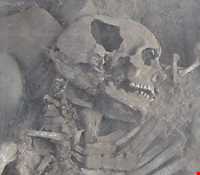 محوطه باستانی شادیاخ