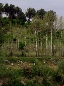 روستای تاریخی کردان