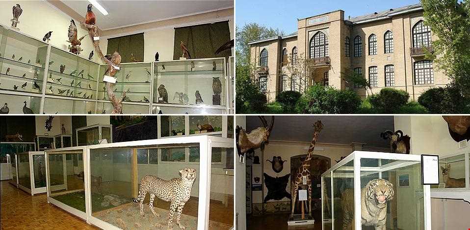 موزه جانورشناسی کرج