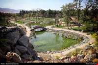 باغ گیاه شناسی مشهد