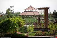 باغ گیاه شناسی مشهد