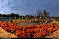 باغ گیاه شناسی مشهد