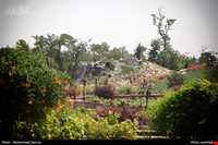 باغ گیاه شناسی مشهد