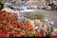 باغ گیاه شناسی مشهد