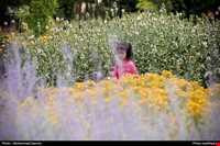 باغ گیاه شناسی مشهد