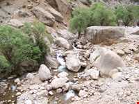 آبشار توف اسپید