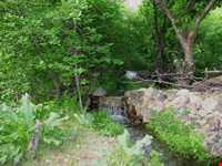 روستای گرینه