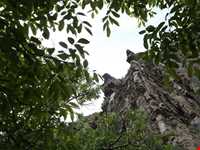 روستای گرینه