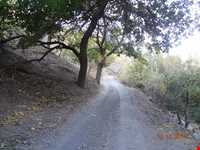 روستای گرینه