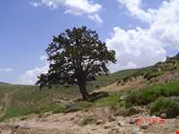 Heydary Wildlife Refuge