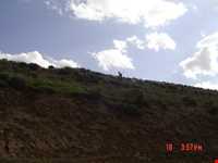 Heydary Wildlife Refuge