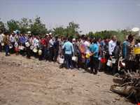 Grits Celebrating Festival of Seno Village