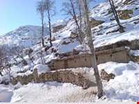 روستای فارسیان قانچی