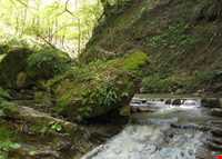 روستای سوسرا