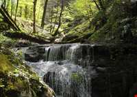روستای سوسرا
