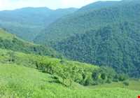 روستای سوسرا