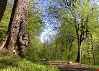 روستای سوسرا