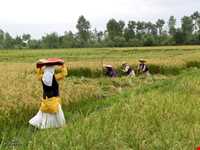 گویش گیلانی (گیلکی)