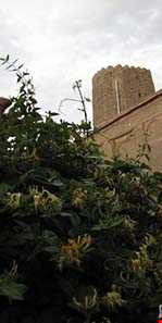 روستای ریاب