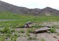 Bagh Keshmir Protected Area