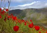 Bagh Keshmir Protected Area
